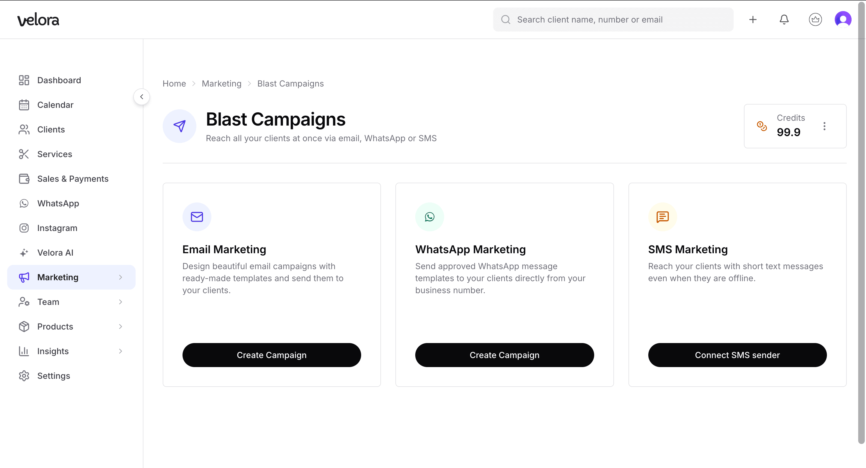 Velora marketing campaigns screen